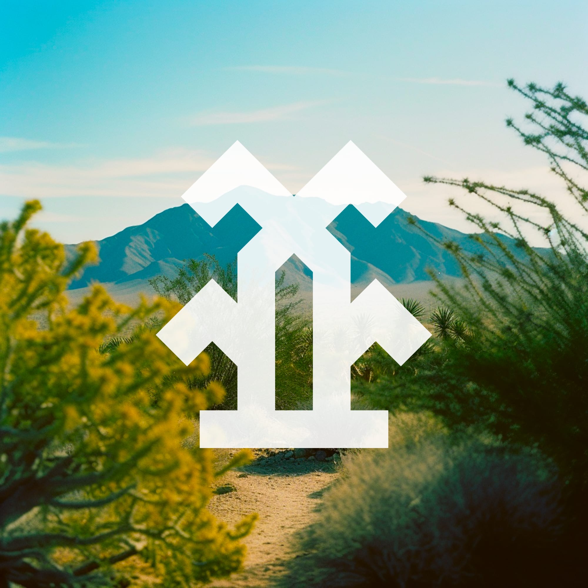 Late To Takayama Arboreal Logo